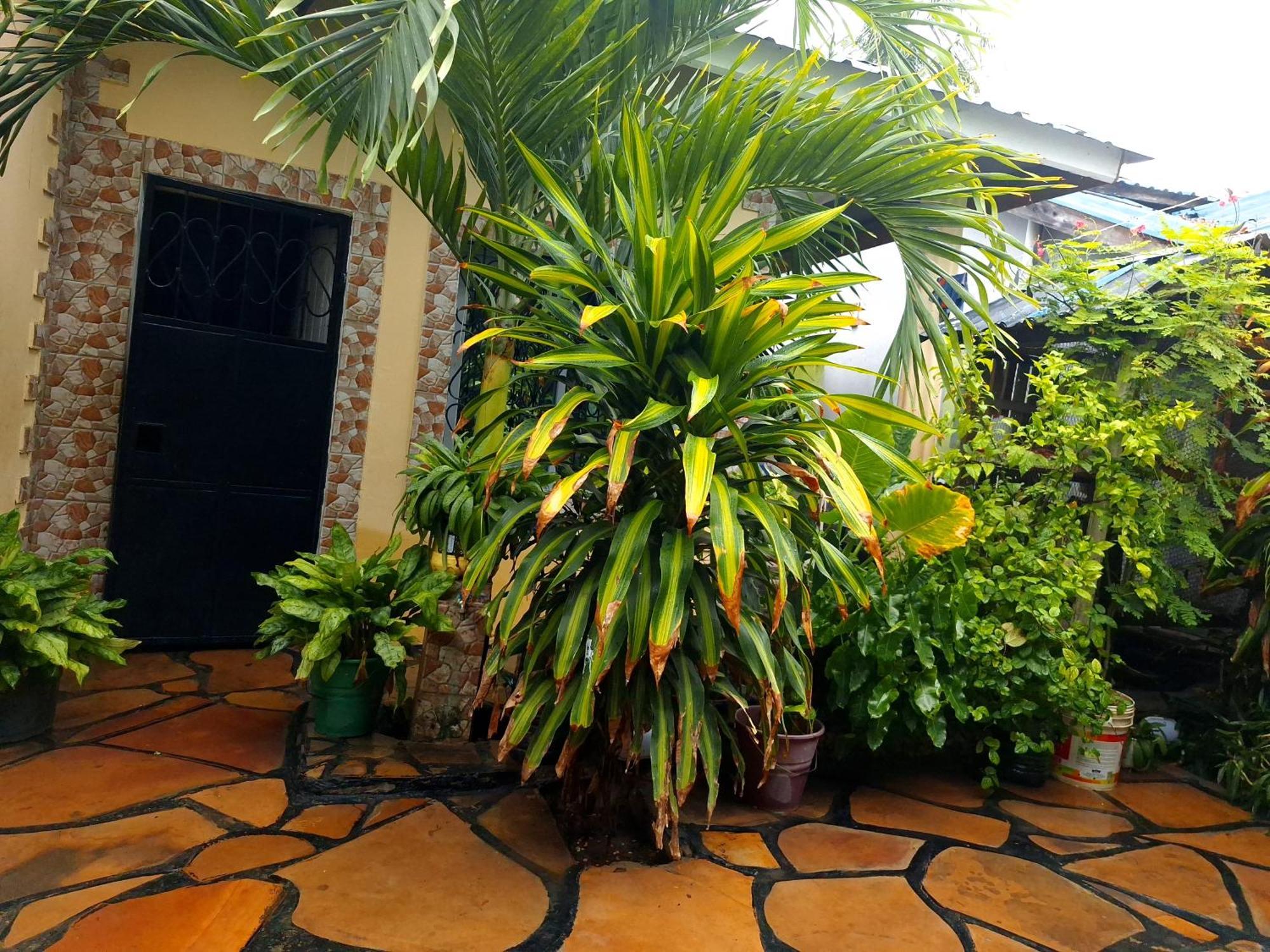 Mount Zion Guest House, Mtwapa Mtomondoni Mombasa Exterior photo